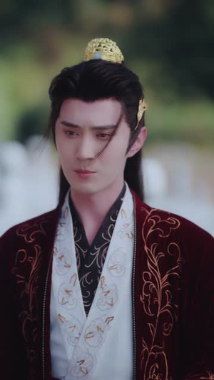 九公主又美又飒(85集) 九公主又美又飒(85集)短剧最终章免费合集