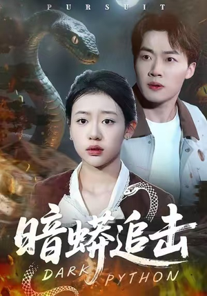 暗蟒追击（35集）短剧全集解锁零收费