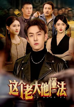 这个老大他懂法(100集) 这个老大他懂法(100集)短剧全集热力排行榜之一