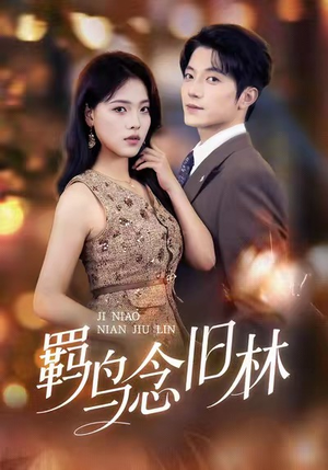 羁鸟念旧林（60集）短剧超清全集在线看