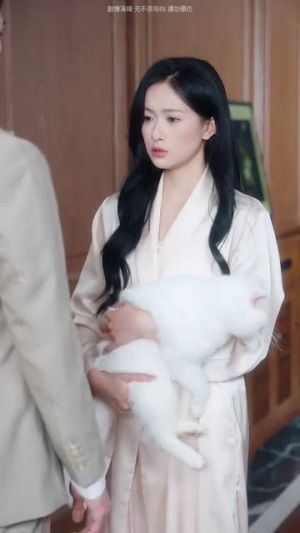 地久婚长（69集）短剧合集4K修复版