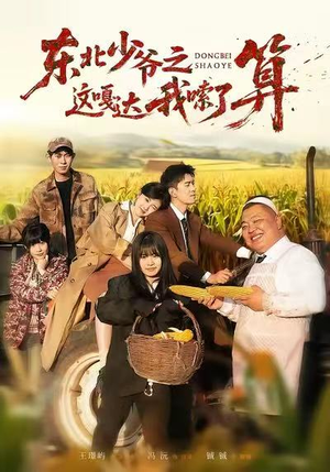 东北少爷之这嘎达我嗦了算（46集）短剧收官全集限免看