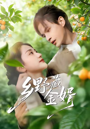 乡野藏金婿（50集）短剧终篇全集限免看