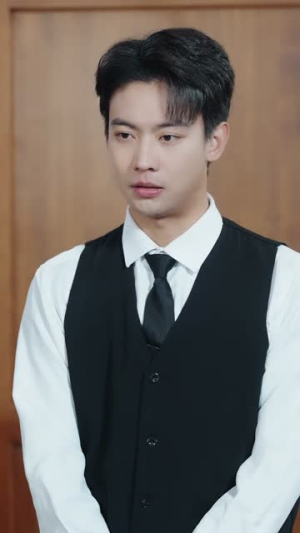 夫人别闹我只做司机（80集）短剧全剧终合集放送