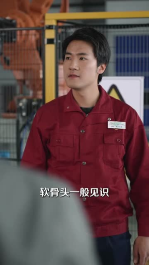 退休返聘60岁快递员竟是八级技工(50集) 退休返聘60岁快递员竟是八级技工(50集)短剧全集秒播无卡顿