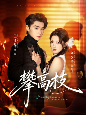 攀高枝（70集）短剧超清全集在线看
