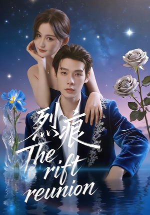 烈痕（35集）短剧合集4K修复版