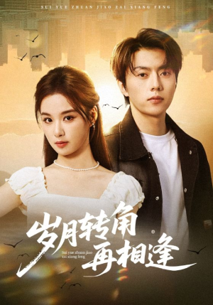 岁月转角再相逢(80集) 岁月转角再相逢(80集)短剧全剧终限免畅刷
