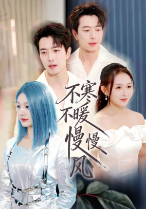 不寒不暖慢慢风（70集）短剧全集秒播无卡顿