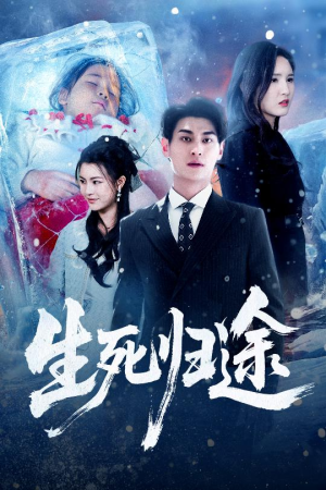 生死归途（50集）短剧热映全集免费刷