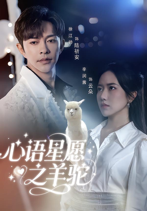 心语星愿之羊驼(60集) 心语星愿之羊驼(60集)短剧全剧终合集放送