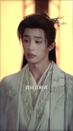 夫人走的第三年(72集) 夫人走的第三年(72集)短剧终章免费大放送