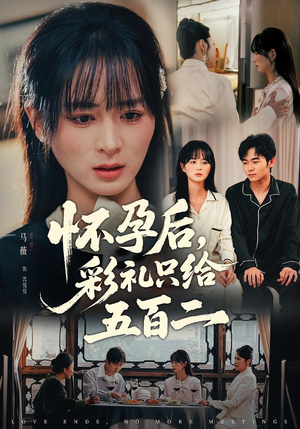 怀孕后，彩礼只给五百二（40集）短剧全集热力排行榜之一