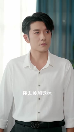 前夫二十岁(79集) 前夫二十岁(79集)短剧合集杜比音效版