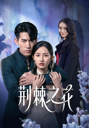 荆棘之花（100集）短剧大结局连更全集