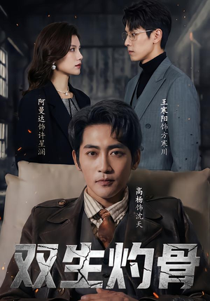 双生灼骨（60集）短剧合集4K修复版
