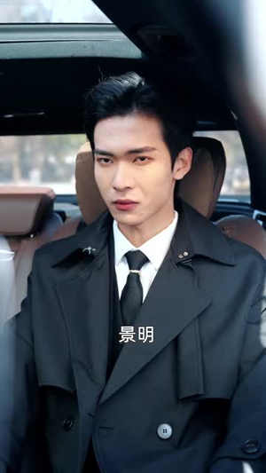 他以命谋局,胜天半子(80集) 他以命谋局,胜天半子(80集)短剧全剧终限免畅刷