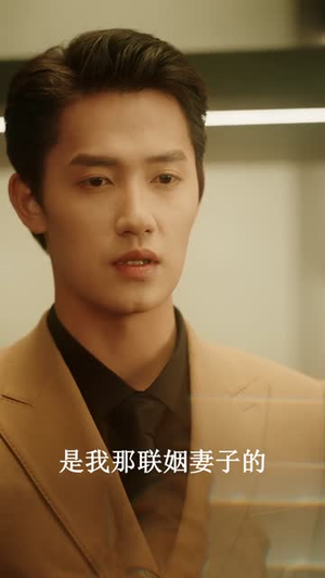 地久婚长,婚夜燃尽(83集) 地久婚长,婚夜燃尽(83集)短剧最终回限免畅看