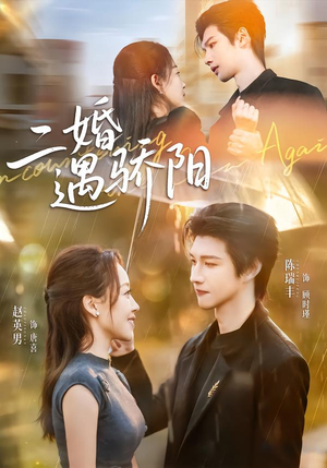 二婚遇骄阳（65集）短剧精选全集无广告