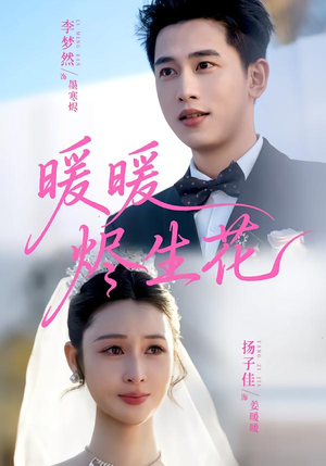 暖暖烬生花（65集）短剧全剧终高清放送