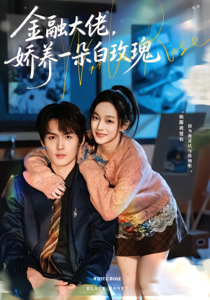金融大佬,娇养一朵白玫瑰(70集) 金融大佬,娇养一朵白玫瑰(70集)短剧全集热力排行榜之一