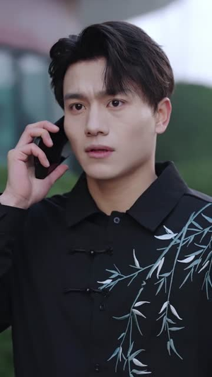 天眼风水师(80集) 天眼风水师(80集)短剧大结局全集特惠