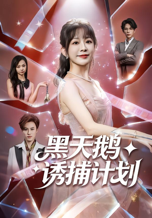 黑天鹅诱捕计划（81集）短剧完整版全集放送