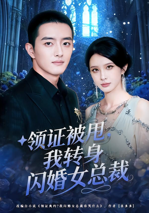 领证被甩，我转身闪婚女总裁（80集）短剧热播全集免费追