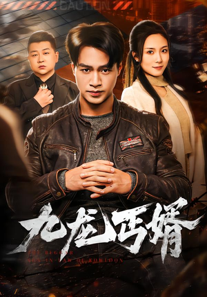 九龙丐婿（81集）短剧全系列免费畅享