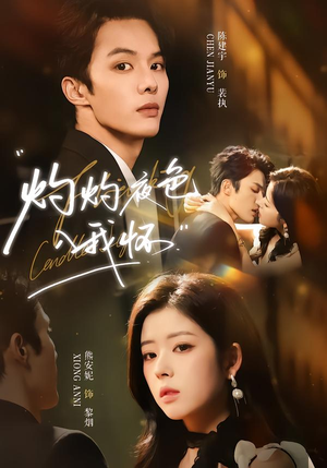 灼灼夜色入我怀（60集）短剧最终回限免畅看