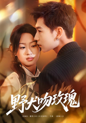 野犬吻玫瑰（70集）短剧合集通宵追更版