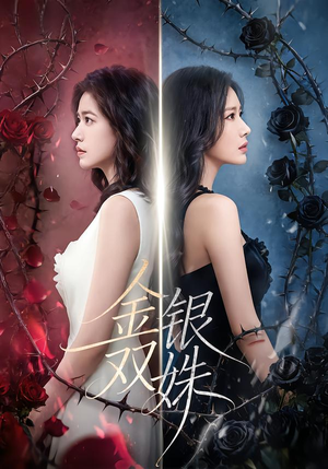 金银双姝（80集）短剧合集通宵追更版