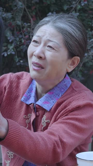 当王宝钏我有自己的节奏（70集）短剧最终回限免畅看