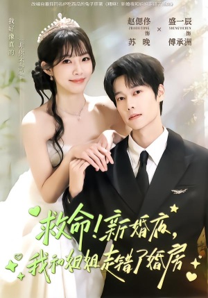 救命!新婚夜,我和姐姐走错了婚房(58集) 救命!新婚夜,我和姐姐走错了婚房(58集)短剧合集通宵追更版