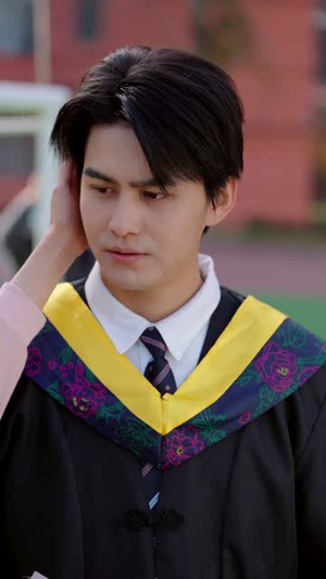 恋爱请勿打扰（80集）短剧全剧终限免畅刷