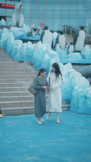 重逢后,高冷裴总红着眼拉我领证(77集) 重逢后,高冷裴总红着眼拉我领证(77集)短剧合集通宵追更版