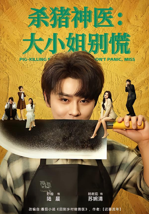 杀猪神医，大小姐别慌（80集）短剧大结局全集特惠