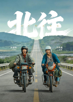 北往（61集）短剧大结局合集放送