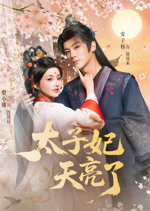 太子妃天亮了(80集) 太子妃天亮了(80集)短剧合集彩蛋完整版