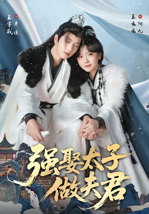 强娶太子做夫君(67集) 强娶太子做夫君(67集)短剧大结局全集特惠