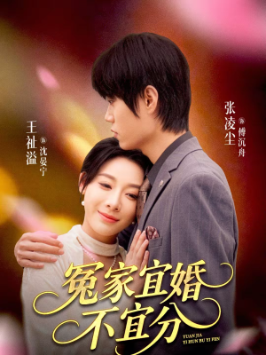冤家宜婚不宜分(80集) 冤家宜婚不宜分(80集)短剧大结局超前点映