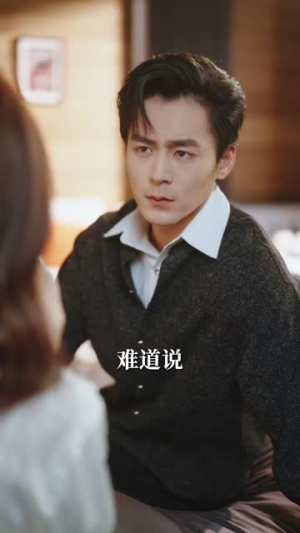 港婚日记（84集）短剧大结局超前点映