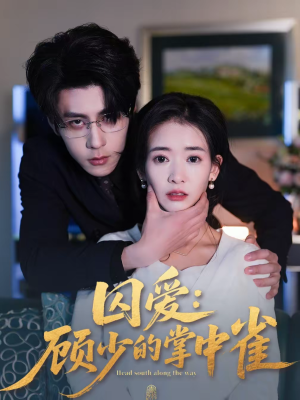 囚爱:顾少的掌中雀(70集) 囚爱:顾少的掌中雀(70集)短剧最终章免费合集