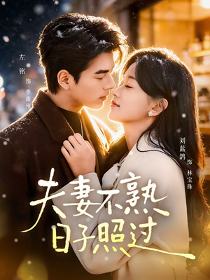 夫妻不熟,日子照过(80集) 夫妻不熟,日子照过(80集)短剧全剧终高清放送