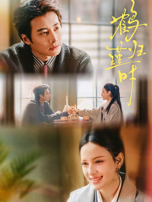 鹤归瑾时（81集）短剧结局篇全集直通