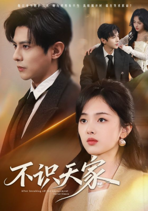 不识天家（69集）短剧全集特惠限时看