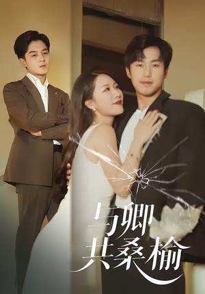 与卿共桑榆（63集）短剧热播全集免费追