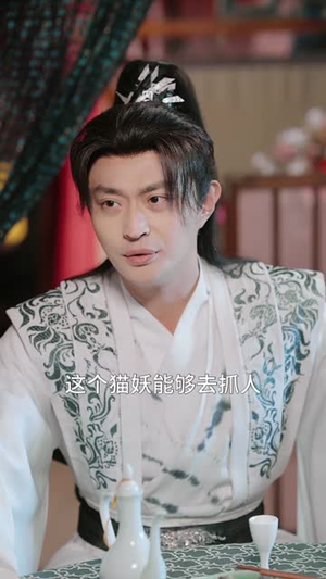 南宋第一卧底(63集) 南宋第一卧底(63集)短剧大结局限免特辑