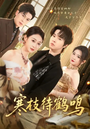 寒枝待鹤鸣（70集）短剧全剧终限免畅刷