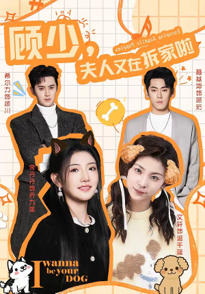 顾少，夫人又在拆家啦（78集）短剧全集特惠限时看